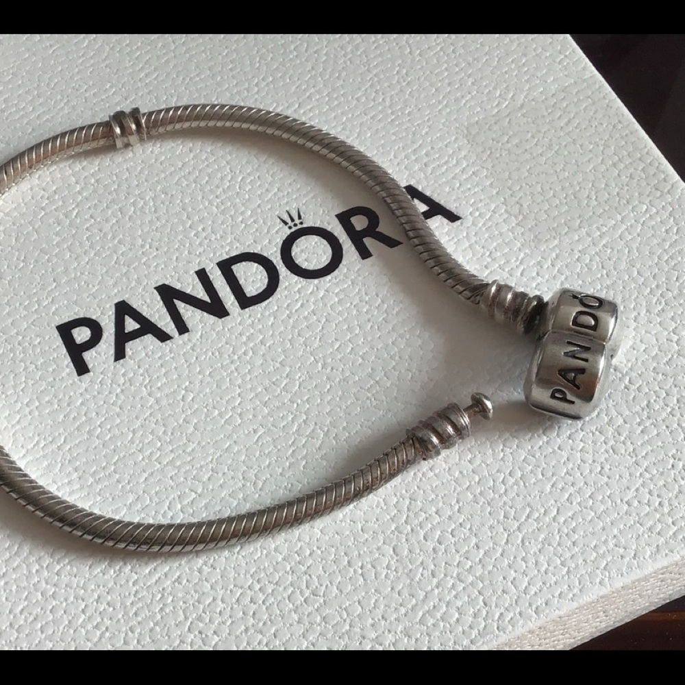 Pandora charm bracelet